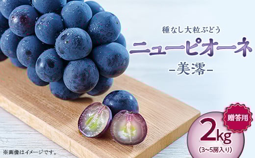 
            岡山県井原市美星町産 ニューピオーネ「美澪」 2kg箱（3～5房入り）贈答用【2026年8月下旬～9月中旬発送予定】
          