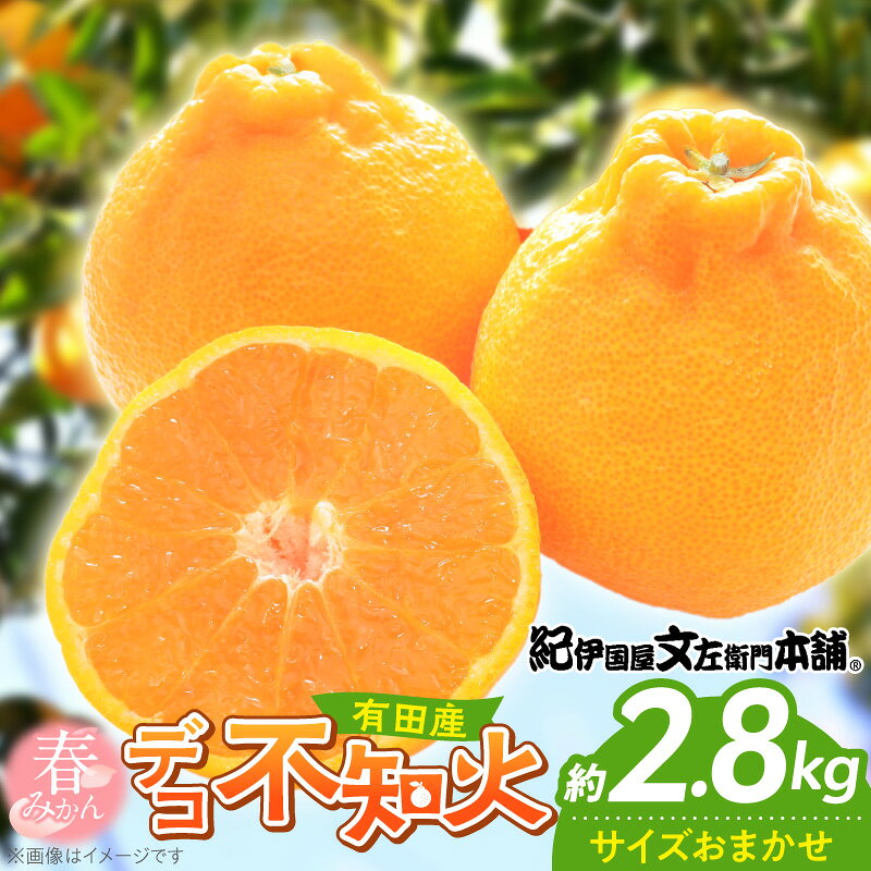 【ふるさと納税】【2027年先行予約】デコ 不知火 約2.8kg 和歌山県有田産 春みかん (果実サイズおまかせ) 春柑橘 紀伊国屋文左衛門本舗