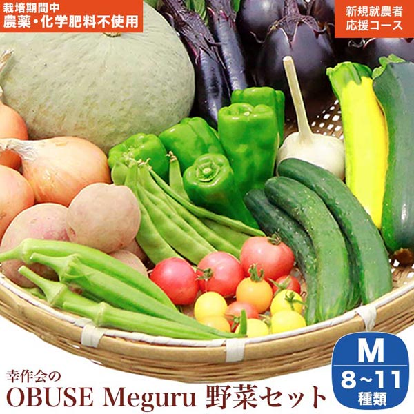 ［栽培期間中農薬・化学肥料不使用］ OBUSE Meguru 野菜セット M 8～11種類 ［新規就農者応援コース 幸作会］ 野菜 詰め合わせ 詰合せ 農薬不使用 化学肥料不使用 おまかせ やさい 詰合せ お楽しみ 長野県産 令和6年産