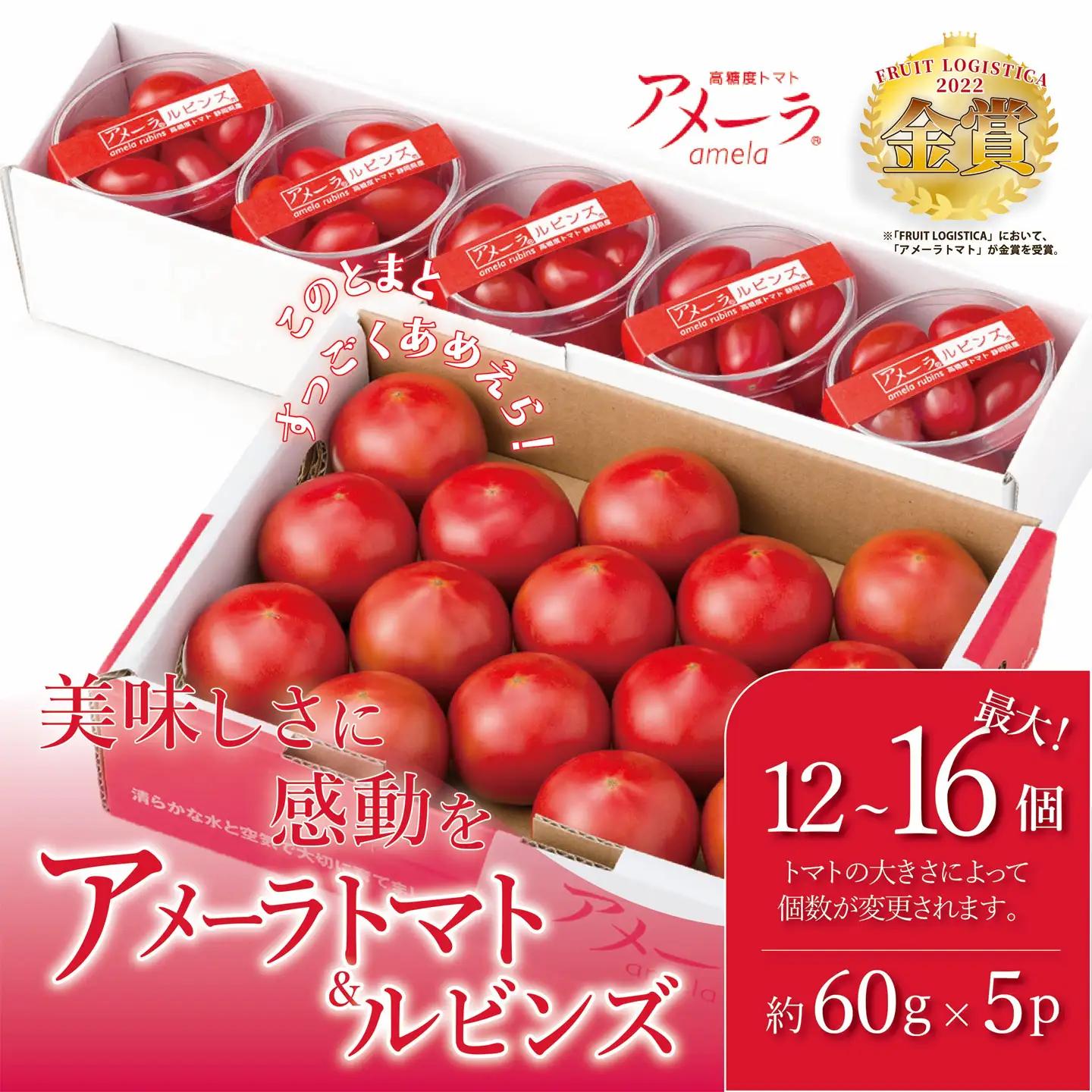 【先行予約】トマト ミニトマト アメーラ＆ルビンズ5P