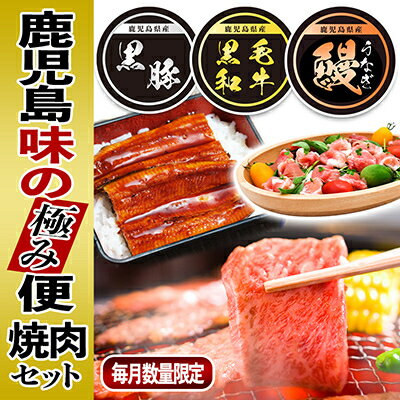 【ふるさと納税】黒豚・黒毛和牛・うなぎ 鹿児島!味の極み便A【配送不可地域：離島】【1185986】