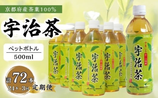 【3回定期便】 京都産 宇治茶 ペットボトル 500 ml × 24本 京都府産 京都産 お茶 茶 京都 宇治 宇治茶  緑茶 ペットボトル 500 24本 常温 煎茶 かぶせ茶 熱中症対策 熱中症予防 熱中症 備蓄 夏 京都府