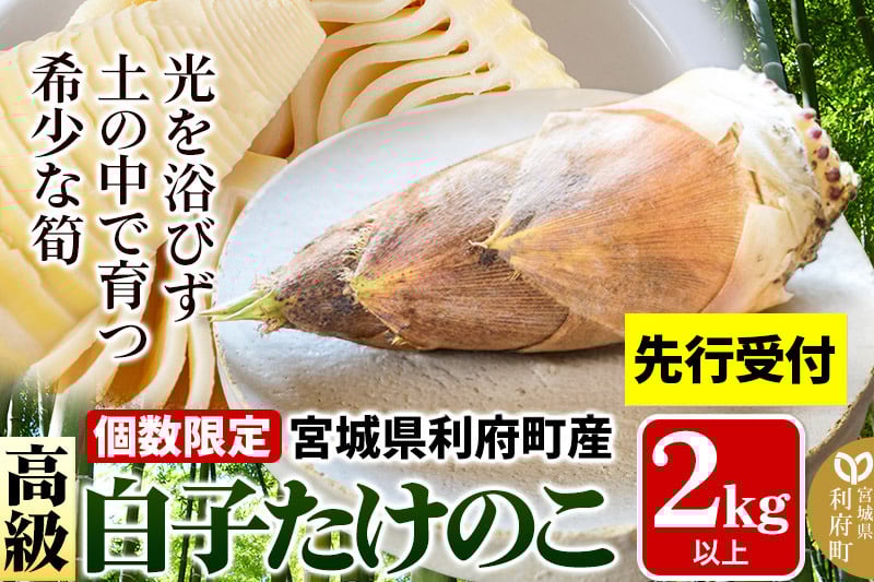
            【先行受付 2026年4月以降発送】宮城県利府町産 採れたて 高級白子たけのこ 皮付き2kg以上（2～6本）筍 タケノコ 野菜 国産 新鮮 旬
          