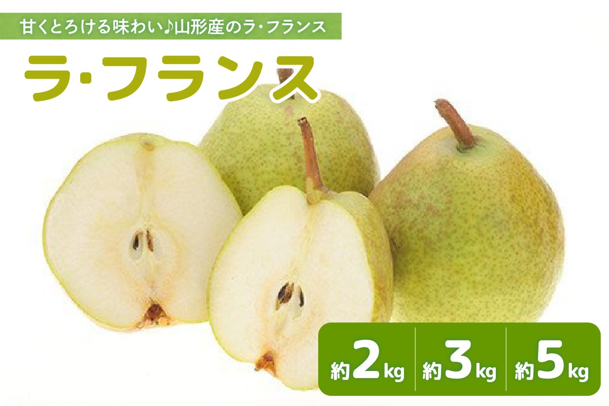 
                  【先行予約】 令和8年産 ラ・フランス 約2kg ～ 約5kg 西洋梨 2026年11月上旬～12月上旬 お届け予定 山形県 米沢市
                