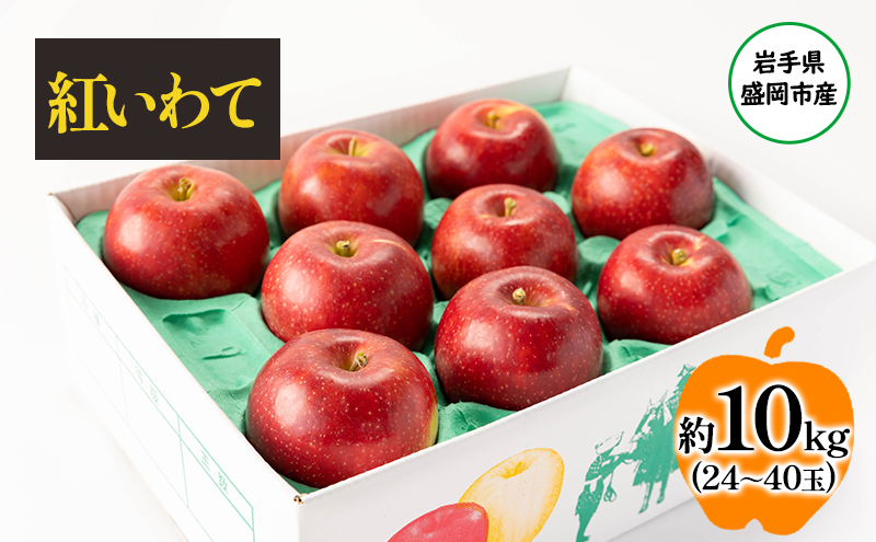 【8月から発送】 りんご 盛岡から「農で人をつなぐ」藤与果樹園： 紅いわて 約10kg 24～40玉 玉数指定不可 詰め合わせ 岩手 盛岡