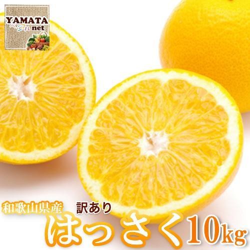 
            【訳あり】はっさく 和歌山産 八朔 10kg 【ご自宅用・サイズ不揃い・キズ等あり】
          