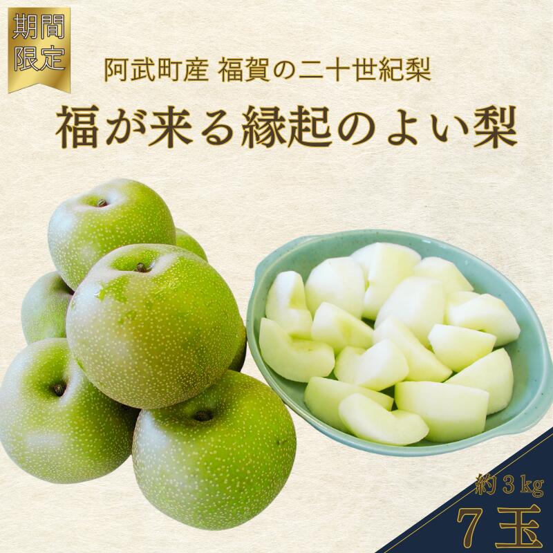 【ふるさと納税】【先行予約】福賀の二十世紀梨 約3kg（7玉） 阿武町産 高糖度＆安心栽培 昼夜の寒暖差が生むシャキシャキ食感 数量限定 なし 梨 ナシ フルーツ 果物 旬 《お届け：2025年8月下旬～9月15日頃出荷》 山口県 阿武町産 デザート