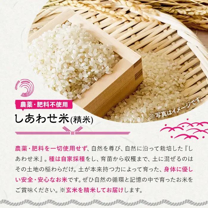 ＜先行予約受付中！2026年11月上旬以降順次発送予定＞＜令和8年産＞しあわせ米 精米(計5kg) お米 白米 5キロ 常温 常温保存 【101000502】【宇佐本百姓】
