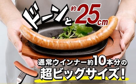 BIGバリューフランク 4本セット 25cm 豚肉 フランクフルト ウィンナー ビッグサイズ 大きい 肉厚 ジューシー 夕食 ご飯 おかず おつまみ バーベキュー BBQ 送料無料 日本ふるさと創生株