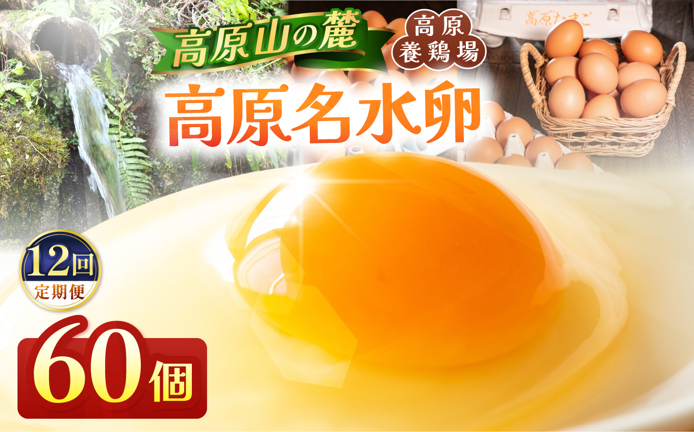 【定期便12回】高原名水 卵 60個｜豊かな自然で育ったアスタキサンチン含有の高原名水卵【感動の甘さと濃さ】栃木県 矢板市