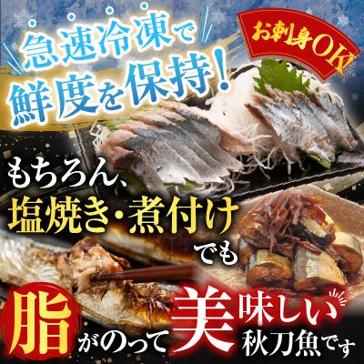 ふるさと納税 根室市 タラバガニむき身300g・冷凍さんま5尾×5P C-36081 |  | 01