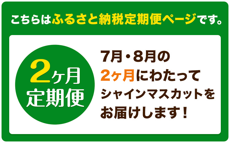 【2ヶ月定期便】ぶどう シャインマスカット 晴王 700g 1房 ハレノフルーツ(アストライ)《7月上旬-8月末頃出荷》岡山県 浅口市 送料無料 フルーツ 果物 マスカット お取り寄せフルーツ【配送不