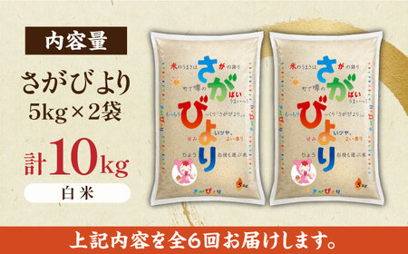 【全6回定期便】さがびより 白米 計60kg（5kg×2袋×6回） / 佐賀県 / 株式会社JA食糧さが [41ADAR007]