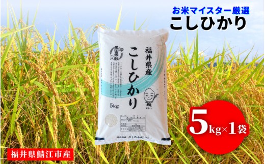 令和7年産 コシヒカリ 5kg（5kg × 1袋）×1回 [B-02035] / お取り寄せ お米 精米 白米 小分け 便利 弁当 ごはん ご飯 コメ おにぎり ブランド 米 初回 送料無料 常温 配送 新生活 応援