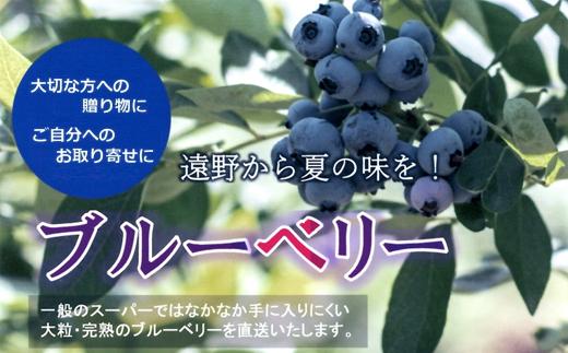 
            生 ブルーベリー【夏季限定】大粒 ！ 完熟 遠野産 400g（100g×4パック） 化粧箱 入 贈答 ギフト 門前おくでらブルーベリー園 【2025年7月上旬より発送予定】
          