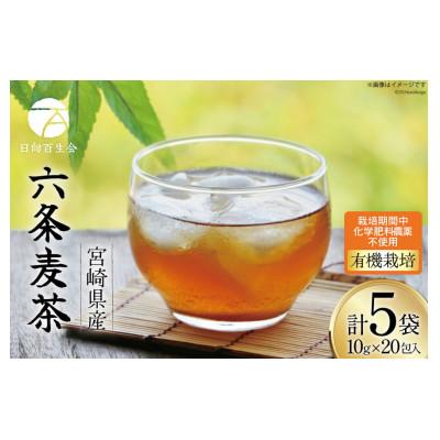 ふるさと納税 日向市 六条麦茶　10g×20包
