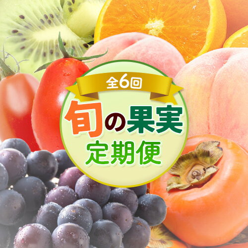 【ふるさと納税】和歌山県の旬の果実を奇数月にお届け 全6回定期便 厳選館《1月上旬-11月末頃出荷》和歌山県 日高町 果物 フルーツ キウイ キウイフルーツ 清見オレンジ オレンジ アイコトマト トマト 桃 ニューピオーネ 富有柿 柿 送料無料【配送不可地域あり】