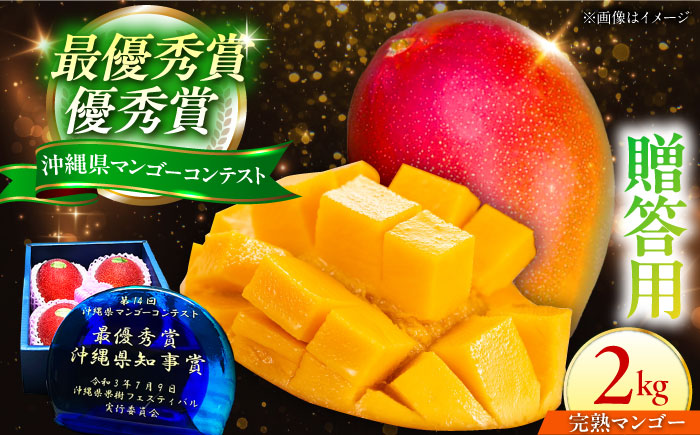 【贈答用】仲村農園の完熟アップルマンゴー2kg マンゴー 沖縄 果物 フルーツ ギフト 沖縄市 / 仲村農園 [BCCU001]