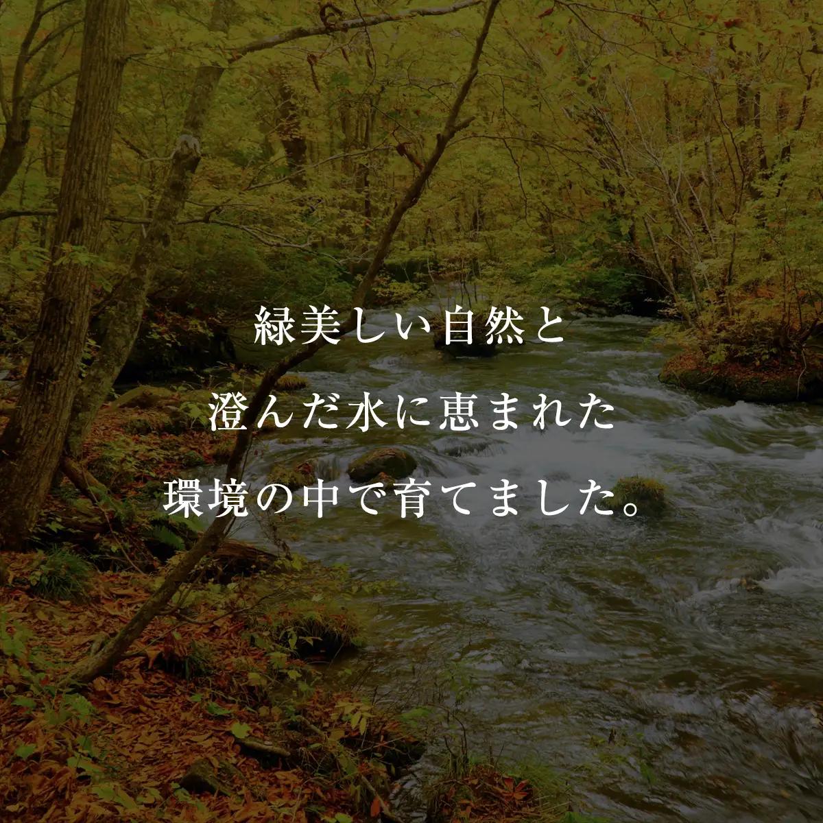 千葉県産　錦爽鶏　三味漬けセット MBX002