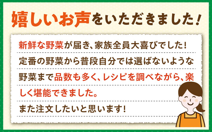 【全6回定期便】旬の野菜セット 10品 《壱岐市》【壱岐市農業協同組合】[JBO045] 野菜 ベジタブル 食材 詰め合わせ 産地直送 野菜セット グルメ 春 夏 秋 冬 旬 サラダ 冷蔵 夏野菜 ス