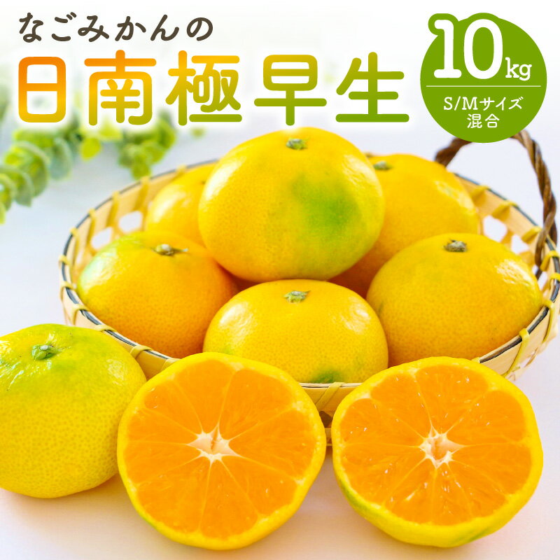 【ふるさと納税】高評価★4.83 なごみかん 日南 極早生みかん 10kg │ フルーツ 果物 柑橘 みかん 極早生 日南 夏 秋 旬