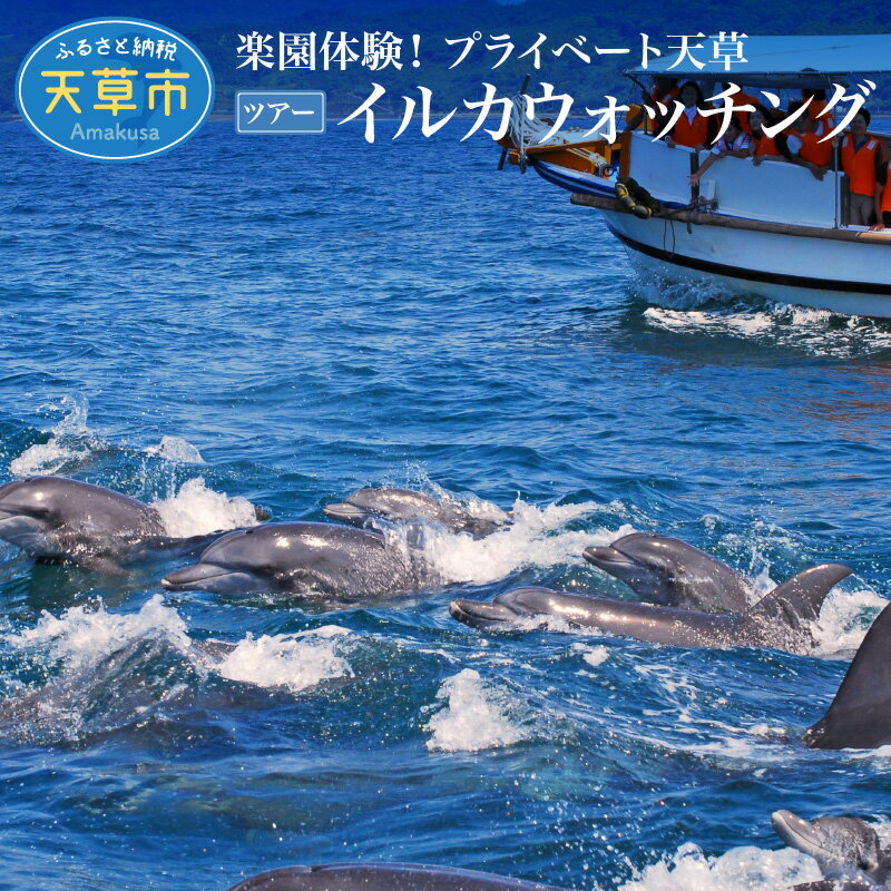 【ふるさと納税】旅行 天草 プライベート ツアー 2名様 イルカウォッチング 体験 国内 観光 高級リゾート ホテルアレグリアガーデンズ 最上階 スイートルーム 海の幸 山の幸 クルーザー ジャンボタクシー 九州 熊本 貸し切り 送料無料