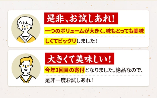 【11月発送】佐賀牛 A5 おっきい ハンバーグ （300g×2個）【肉の三栄】 A5 A5ランク 黒毛和牛 ハンバーグ [HAA157]