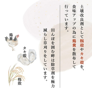 【ファーム喜左ヱ門】令和7年産 にじのきらめき（精米)　5kg