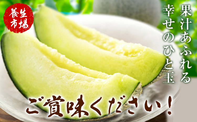 肥後グリーンメロン 約2-2.4kg×2玉【養生市場】 有限会社七城町特産品センター《5月中旬-6月中旬頃出荷》熊本県 菊池市 メロン グリーンメロン 果物 フルーツ 熊本県産 送料無料---003-