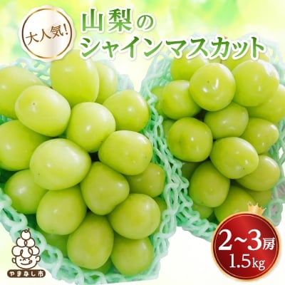 
            ＜2026年発送 先行受付＞シャインマスカット　2～3房 1.5kg【1565515】
          