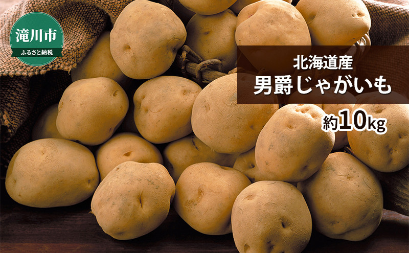 
北海道産 男爵じゃがいも 約10kg＜2024年9月下旬～順次出荷＞｜北海道 滝川市 男爵 じゃがいも 野菜 2024年発送 令和6年発送 やさい ジャガイモ
