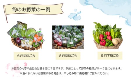 無農薬 野菜 おまかせ セット 5～7品