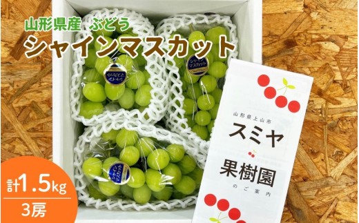 ぶどう（シャインマスカット）１.５ｋｇ（房小さめ）　0047-2610