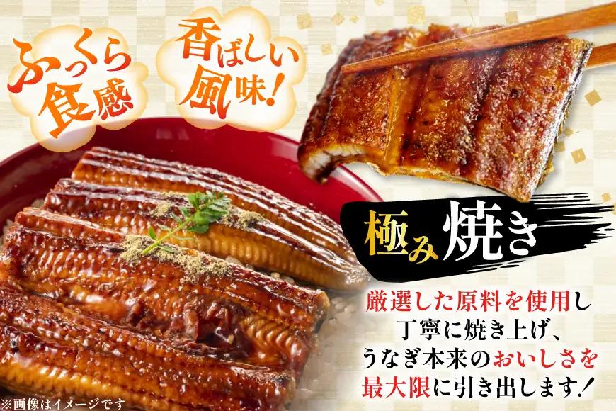 うなぎ 国産 【 丑の日 季節の定期便 】 日向極み うなぎ蒲焼 2尾 計240g [日向サンパーク 宮崎県 日向市 452061507]