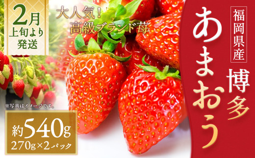 いちご「あまおう」 約270g×2パック 合計 約540g【2027年2月上旬～3月下旬発送】