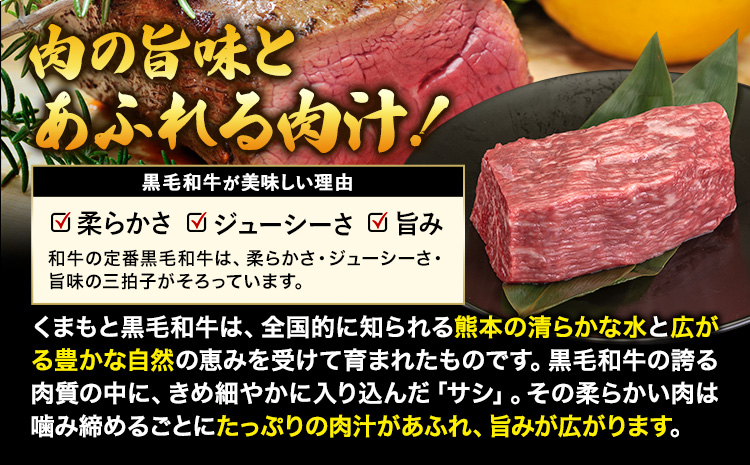 牛肉 くまもと黒毛和牛 外モモ 赤身 ローストビーフ用 ブロック 500g 牛肉 冷凍《30日以内に出荷予定(土日祝除く)》 黒毛和牛 ローストビーフ 熊本県 長洲町