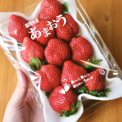 【2025年1月より順次発送予定】いちご満喫 あまおう2パック＆あまおうジャム2瓶のセット(岡垣町)【配送不可地域：離島】