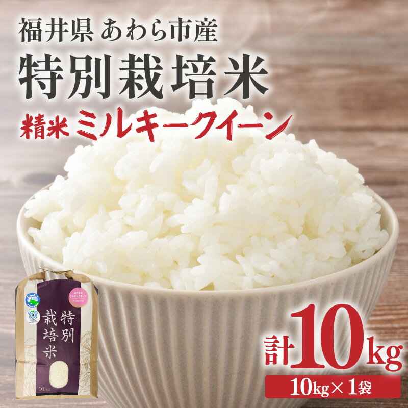 【ふるさと納税】【先行予約】【令和7年産】化学肥料不使用 特別栽培米 ミルキークイーン 精米 10kg × 1袋 / 白米 米 福井県あわら市産 美味しい 特別栽培米 減農薬 安心な米 もっちり 冷蔵保管米 ※2025年9月下旬より順次発送