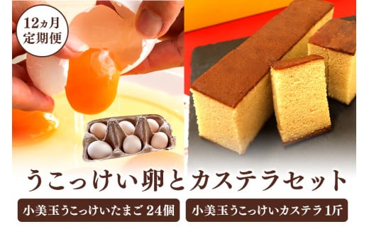 小美玉カステラとうこっけい卵　24個（20＋補償4個）×定期便12回セット【12カ月定期便】 カステラ かすてら 烏骨鶏 卵 うこっけい 鶏卵 高級卵 高級 国産 ギフト スイーツ 菓子 焼き菓子 焼菓子 御贈答 お返し たまご 玉子 烏骨鶏の卵 安全 マニアさん 健康 美容 卵かけごはん TKG 37-O