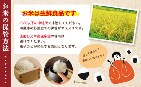 24-148．【令和6年産新米・早期受付】四万十のこしひかり5kg【2024年9月より順次配送】
