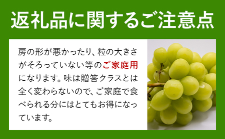 ご家庭用 シャイン マスカット 2～3房 (合計1kg以上)【配送不可地域あり】 OEC KINGDOMぶどう家 《8月下旬-10月中旬頃出荷》岡山県 浅口市 ぶどう 果物