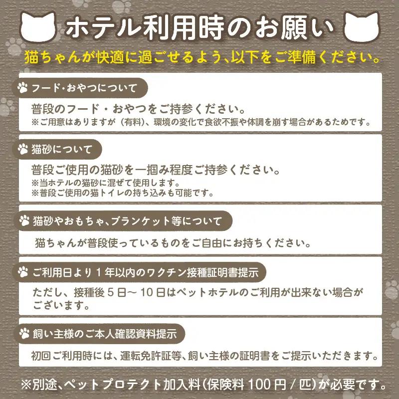 CAT HOTEL & TRIMMING　うぃんべる　宿泊利用券　3匹専用プラン│ペットホテル 宿泊券 猫 1泊2日 愛知県 常滑市