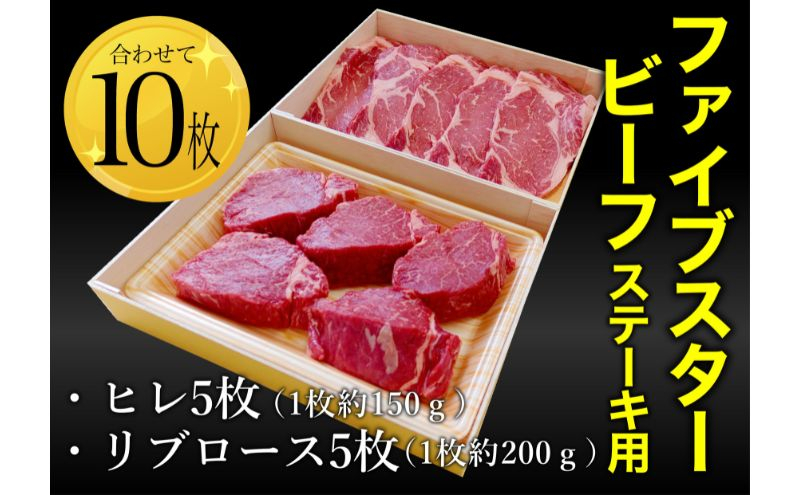 
            ファイブスタービーフステーキセット（ロース5枚、ヒレ5枚）ステーキ肉 肉 牛 牛肉 ニュージーランド産 市原市 千葉 [№5689-1741]
          