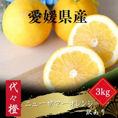 【初夏の味】【訳あり】ニューサマーオレンジ 3kg【A83−36】【1623663】
