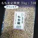 【ふるさと納税】 もち麦 ダイシモチ 国産 定期便 3kg × 3回 | もち麦 ダイシモチ 国産 定期便 永石さんちのもち麦 3kg × 3回 d－43