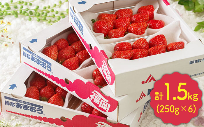 【2月上旬より発送】福岡産【春】 あまおう 6パック＜南国フルーツ株式会社＞那珂川市 [GCD010]