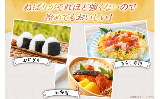 米 令和8年産 新米 ゆきさやか 5kg 6回 定期便 総計 30kg [笹田ファーム 北海道 剣淵町 14656465] お米 おこめ こめ コメ 定期配送 ご飯 ごはん 白米 精米 令和8年