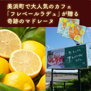 美浜檸檬マドレーヌ 10個 セット｜フレベールラデュ レモン 檸檬 れもん マドレーヌ 焼き菓子 洋菓子 おやつ お菓子 おかし スイーツ ケーキ おすすめ 人気 プレゼント カフェ パフェ 愛知県 