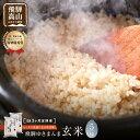 【ふるさと納税】【定期便 3ヶ月】（全3回）飛騨ゆきまんま 玄米 5kg | 特別栽培米 ゆきまんま 特別優秀賞 飛騨高山 まんま農場 LT101