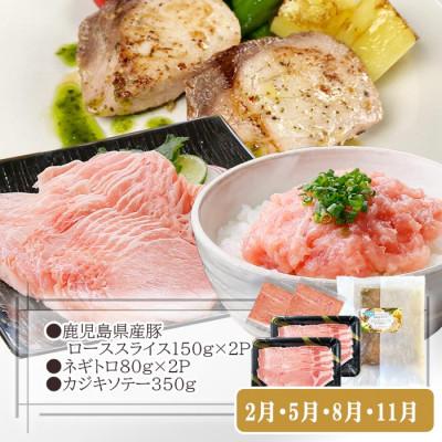 ふるさと納税 枕崎市 定期便3回配送　お楽しみバラエティー　OO-0004 |  | 02